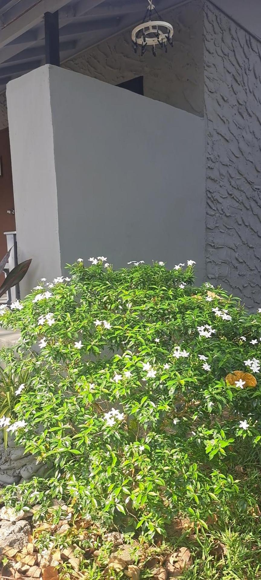 Siam Flora Resort Ko Lanta Kültér fotó