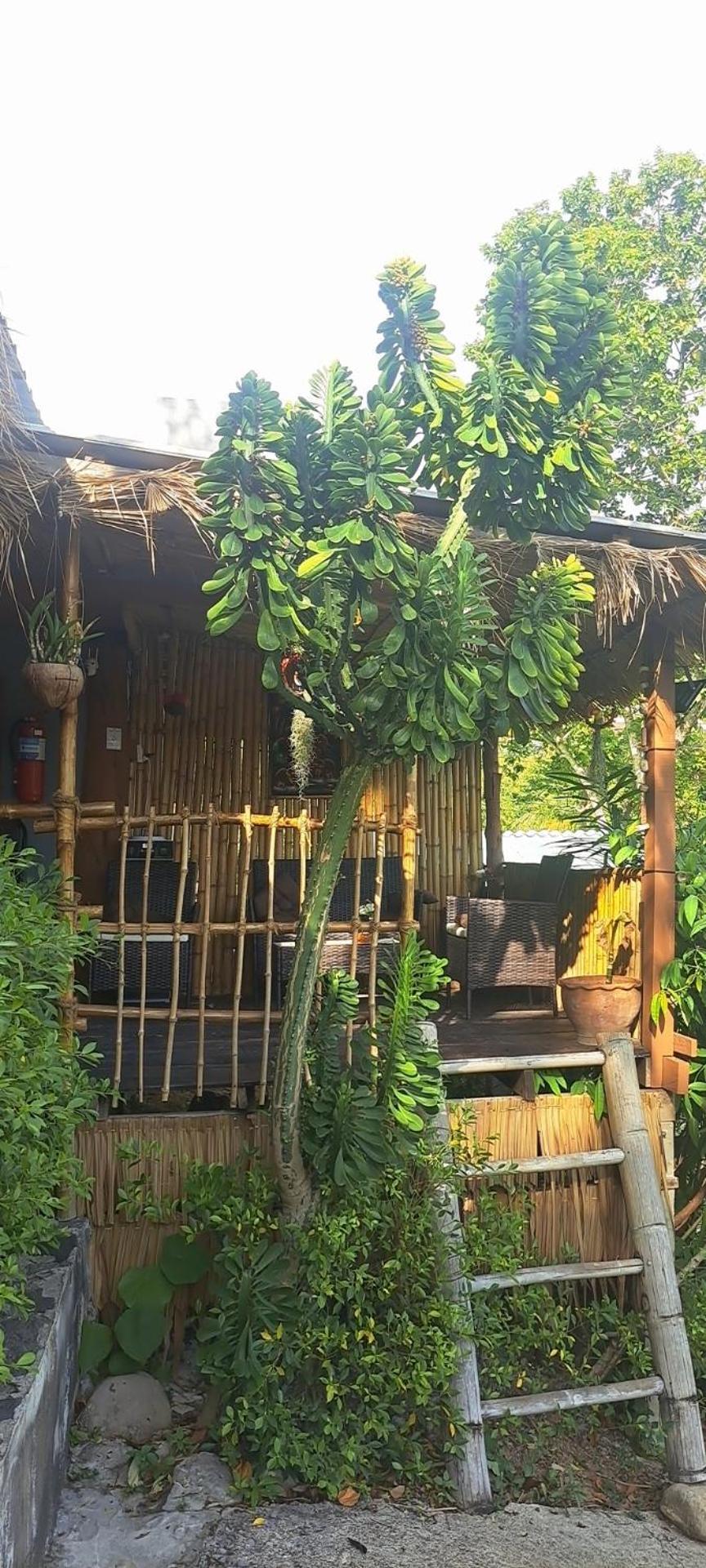 Siam Flora Resort Ko Lanta Szoba fotó
