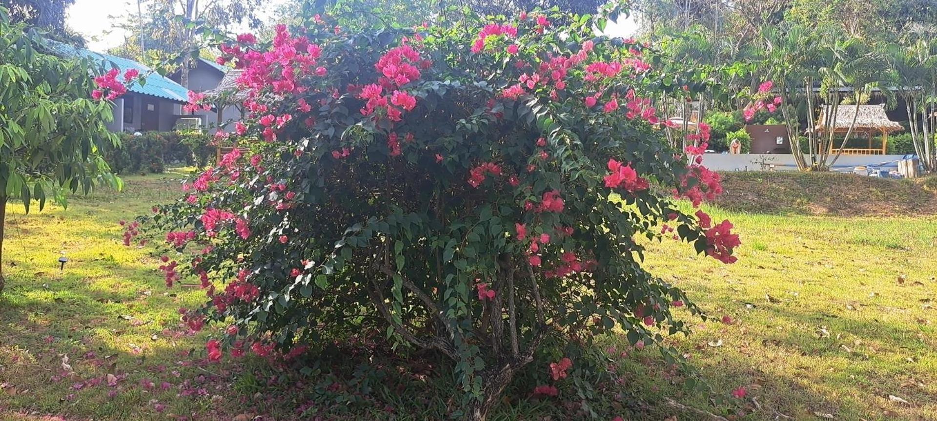 Siam Flora Resort Ko Lanta Szoba fotó